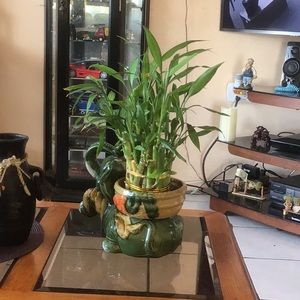 Meet your Posher, Nidia